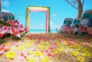 Beach Wedding Ideas Pictures