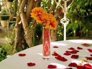 Bridal Shower Decoration Ideas DIY