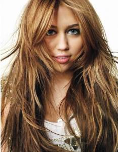 Light Highlights in Brown Hair Samples