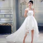 Short Dress with Tail Designs