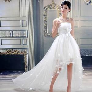 Short Dress with Tail Designs