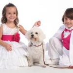 Girls Occasion Wear Dresses 2013
